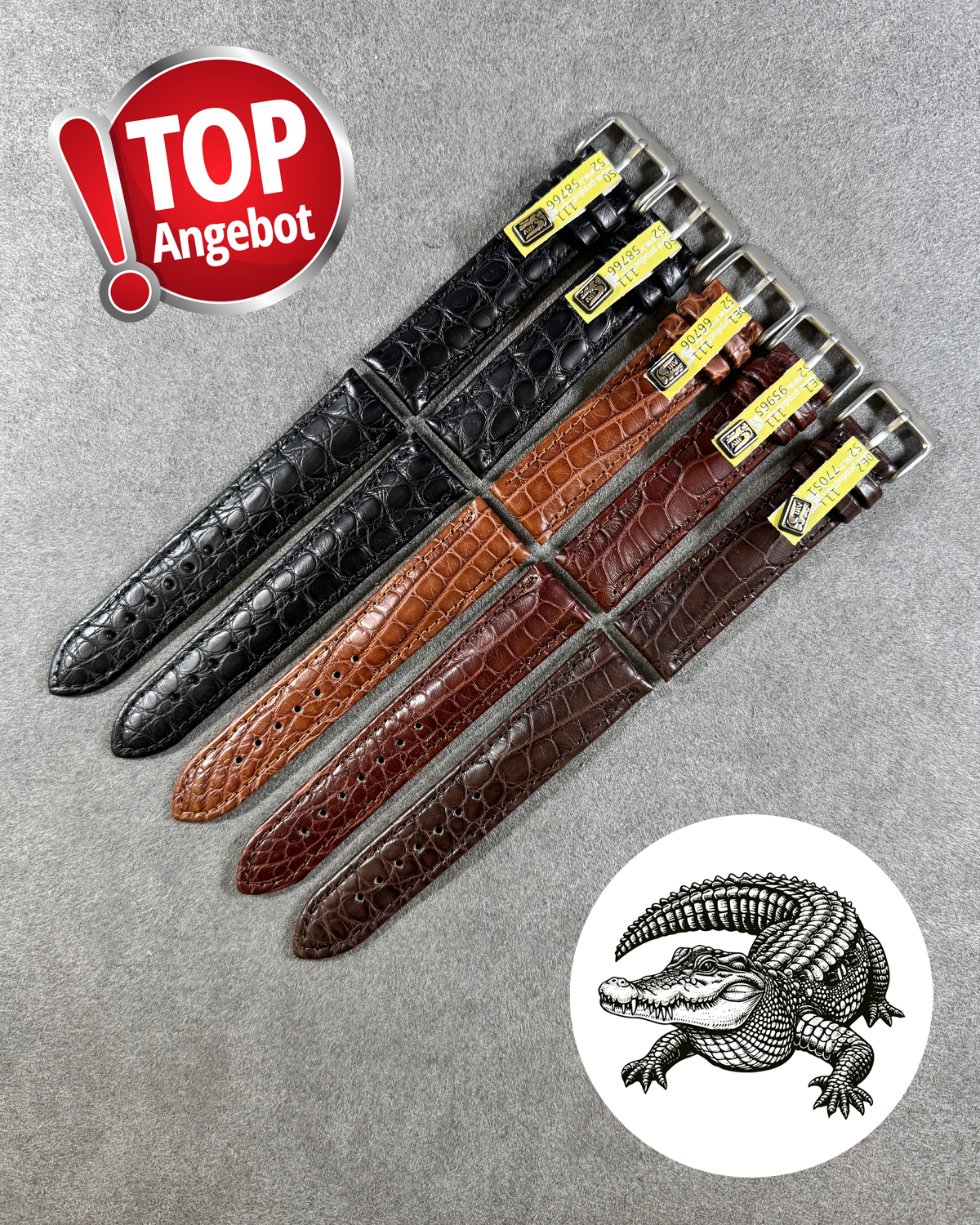 Set Offer "Alligator"