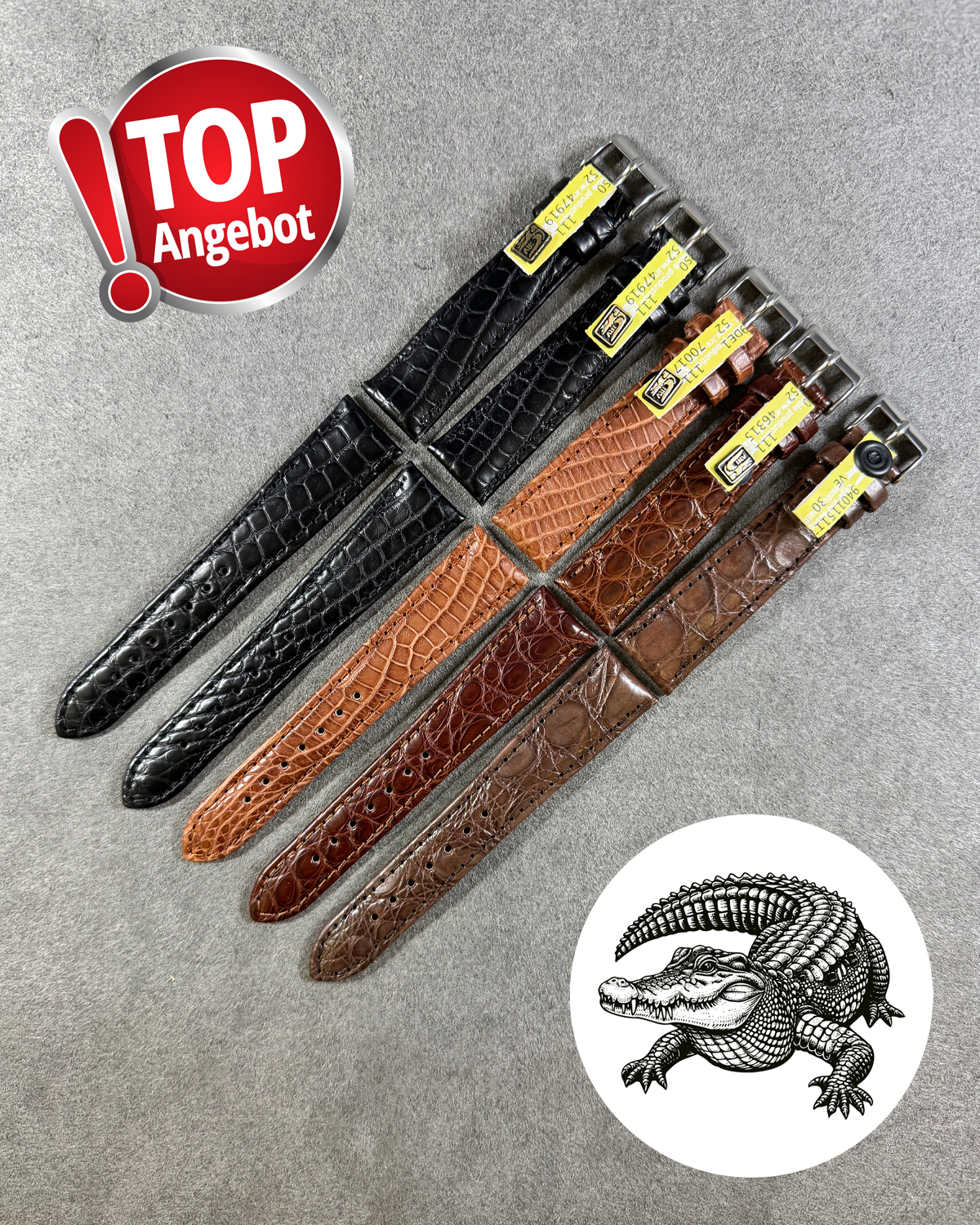 Set Offer "Alligator Classic"